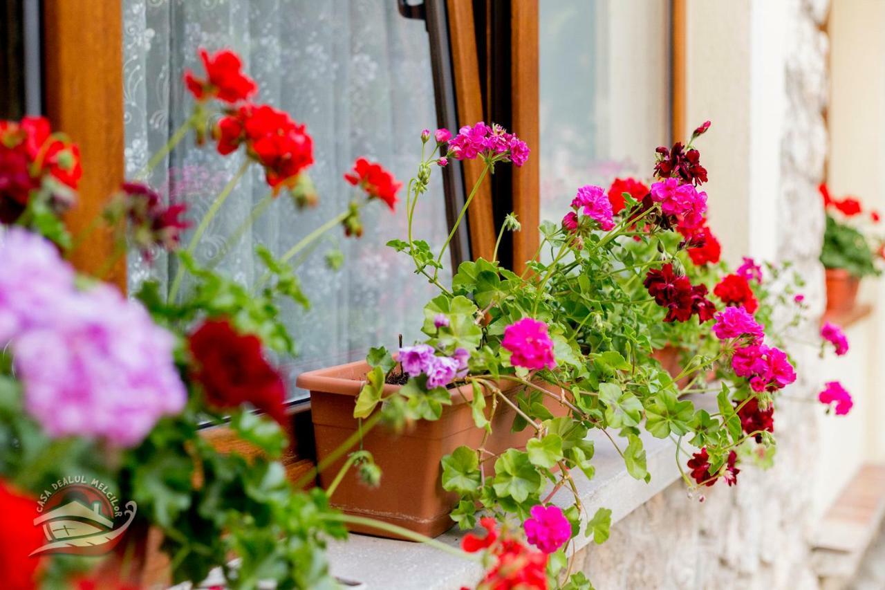 Casa Dealul Melcilor Hotel Brasov Luaran gambar